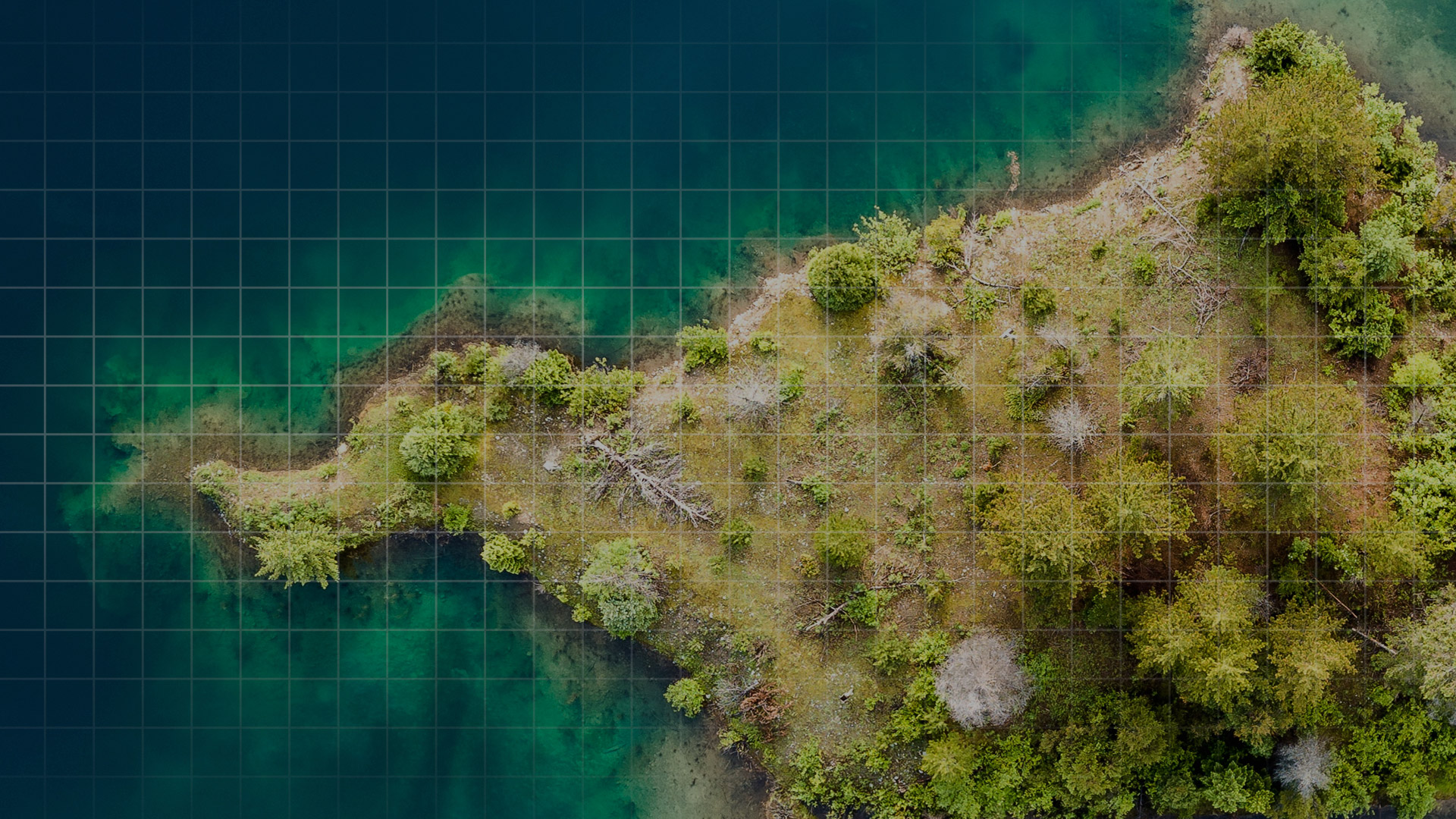 bird eye view of tree covered island with surrounding sea