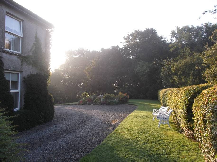 A garden with a white bench and stoned driveway 