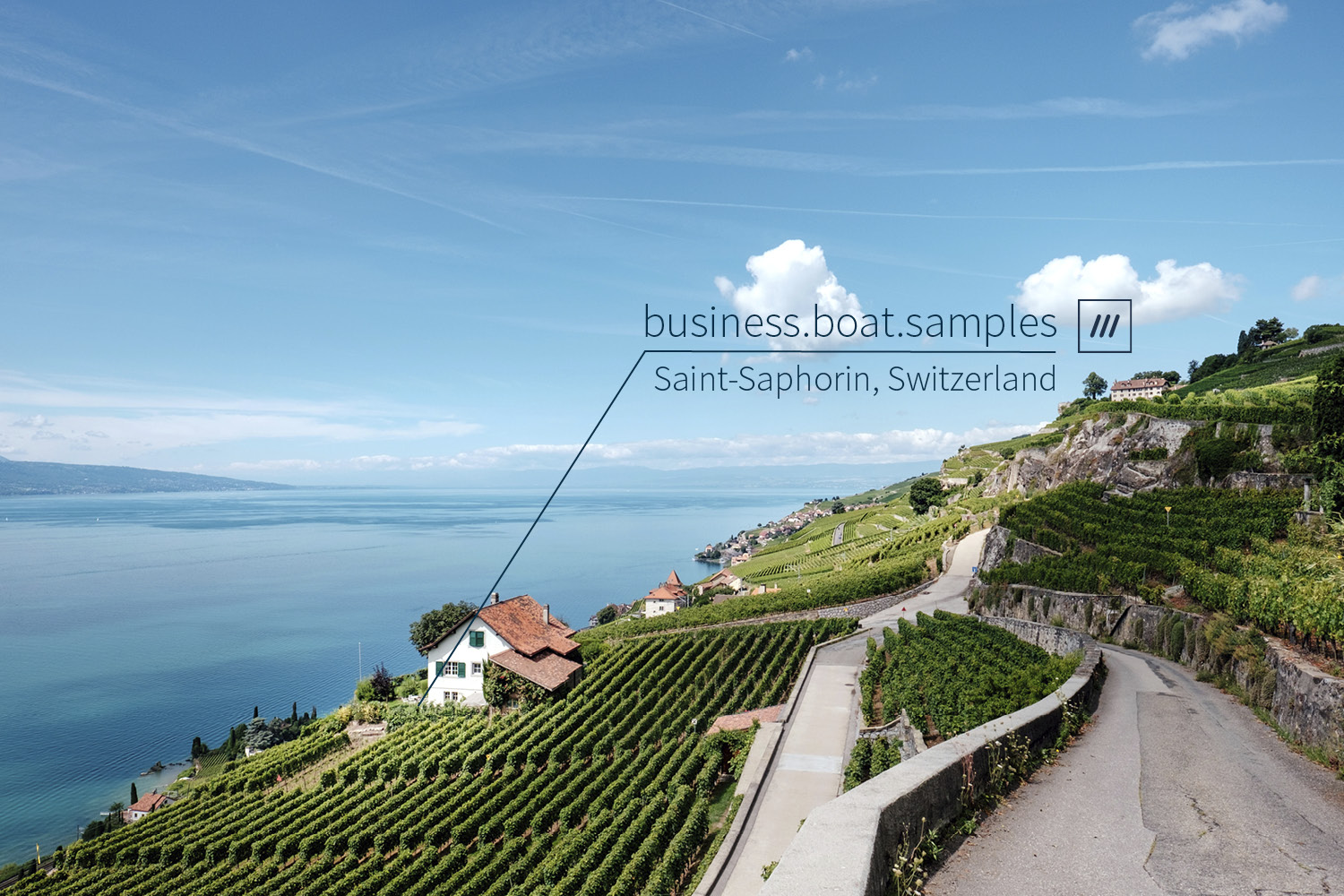 vineyards covering the landscape with sea in background at 3 word location business.boat.samples