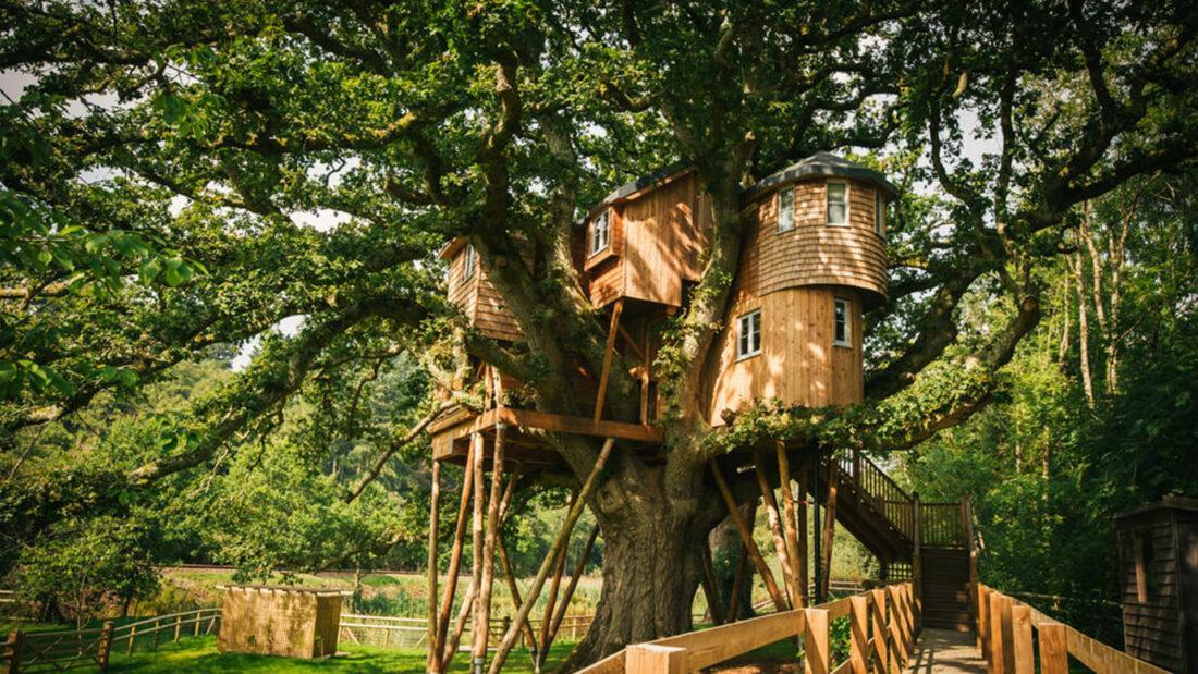 wooden tree house in forest 