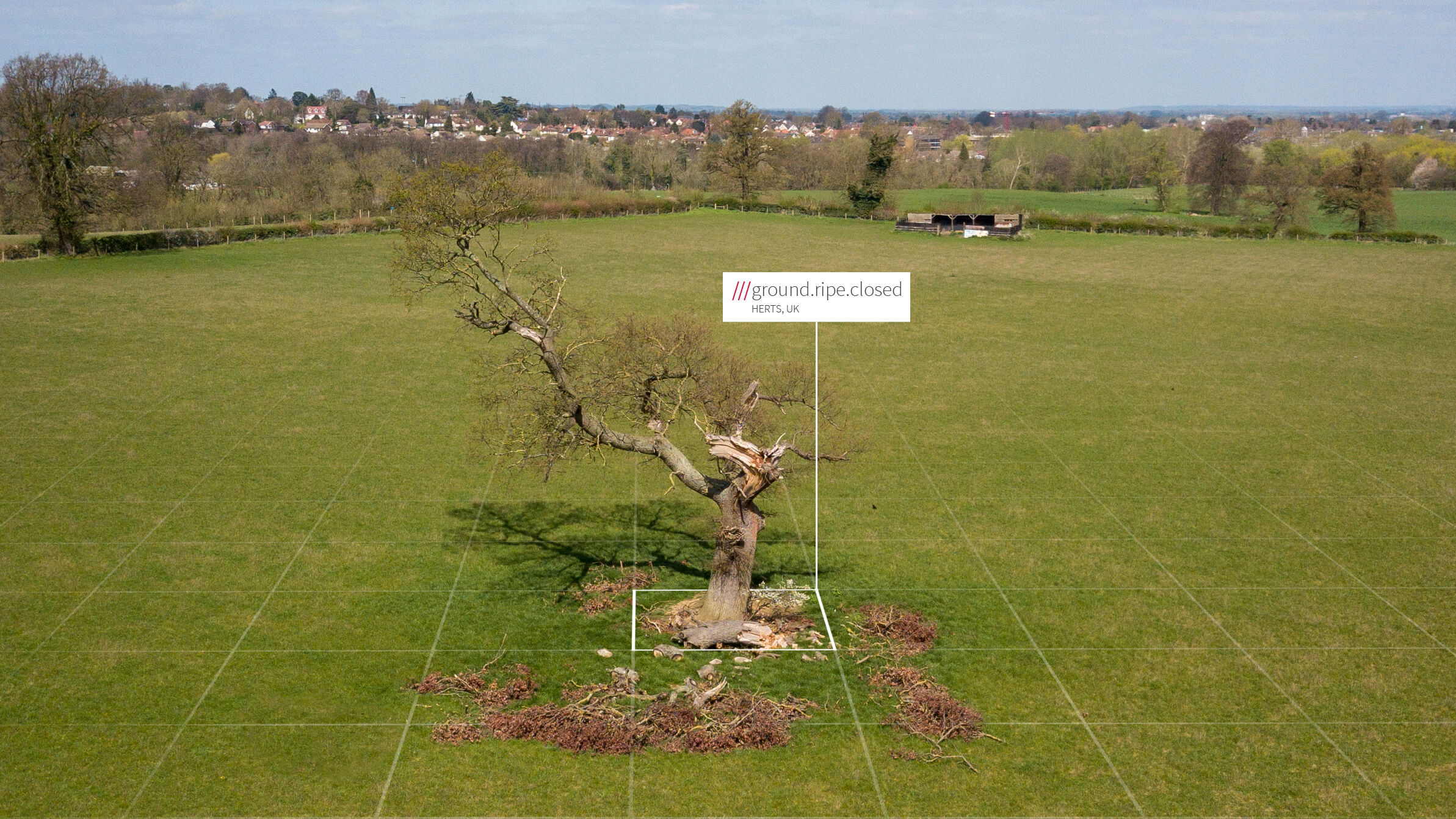branches fallen off tree into field at 3 word address ground.ripe.closed