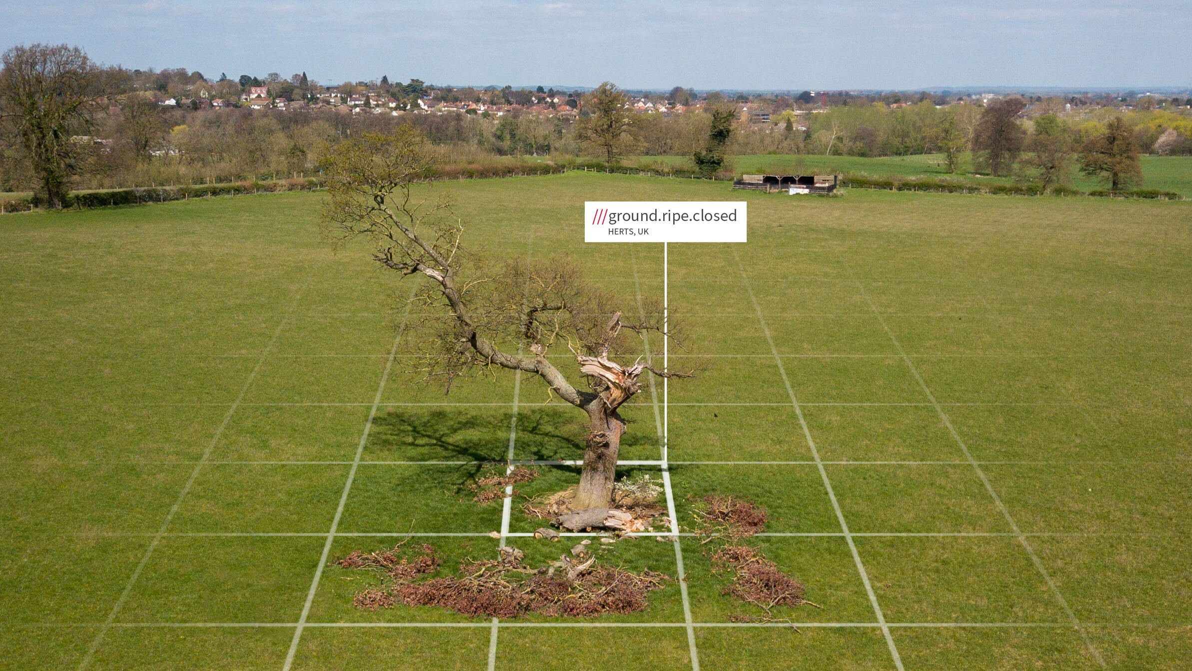 what3words address to mark tree location